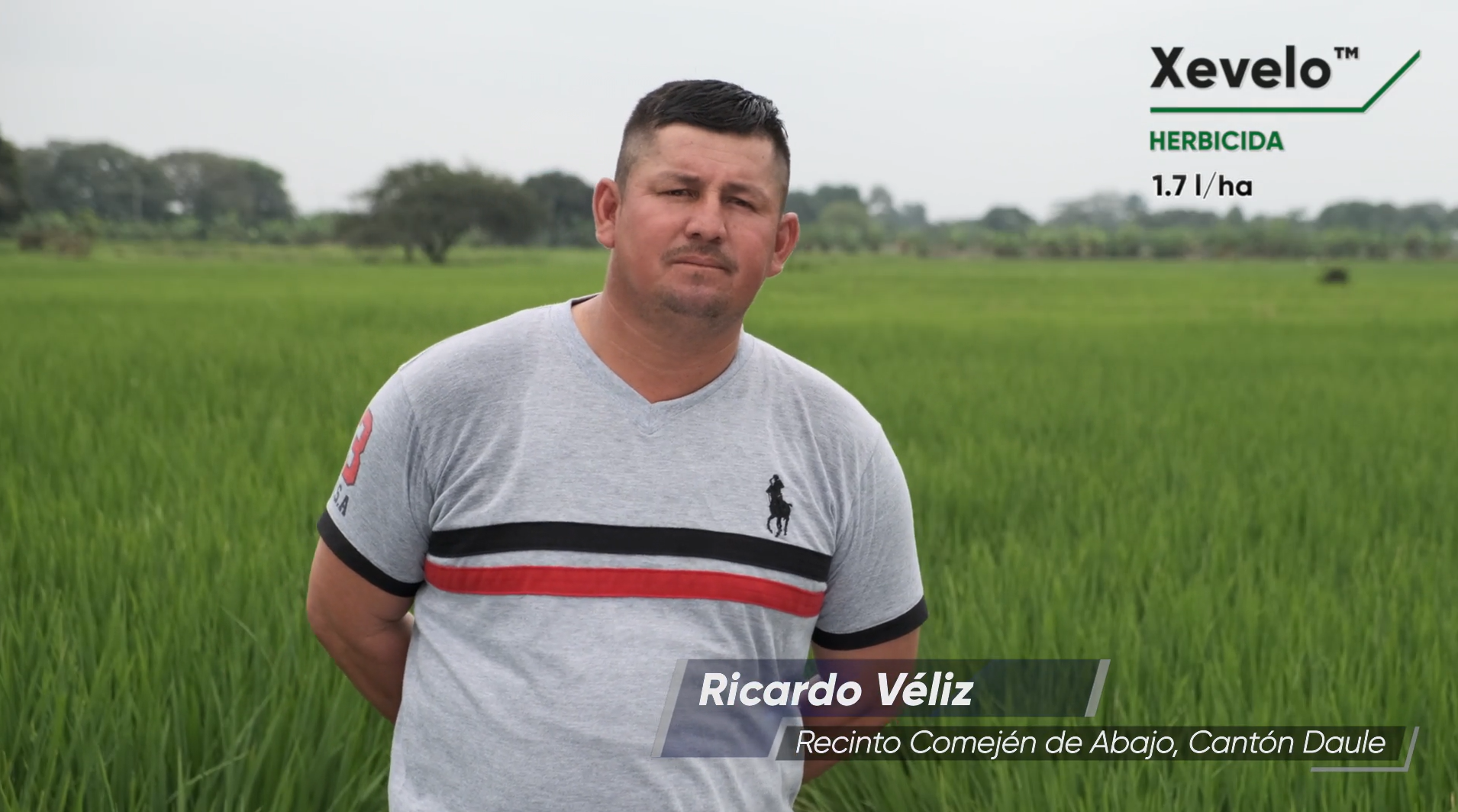 Xevelo - Ricardo Véliz.